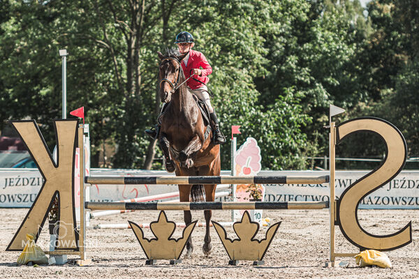 SFT i przyjaciele Jumping Show - KJ Skarb Kozienice ZRiT 22-23.08.2026