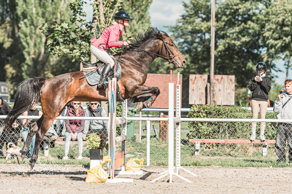 SFT i przyjaciele Jumping Show - KJ Skarb Kozienice ZRiT 22-23.08.2026