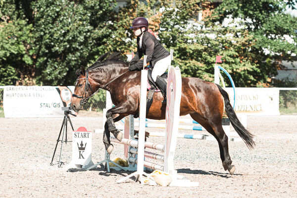 SFT i przyjaciele Jumping Show - KJ Skarb Kozienice ZRiT 22-23.08.2026