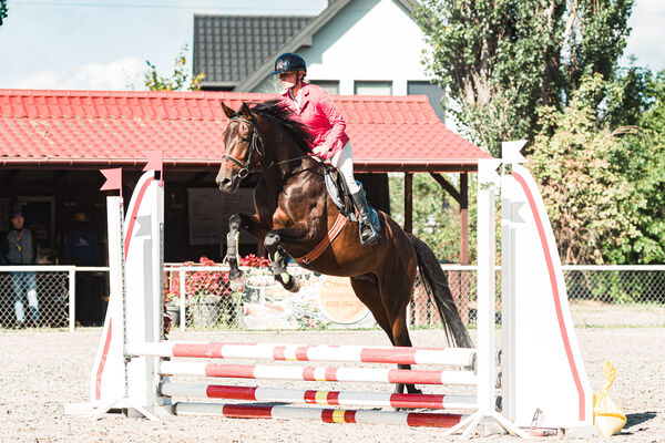 SFT i przyjaciele Jumping Show - KJ Skarb Kozienice ZRiT 22-23.08.2026