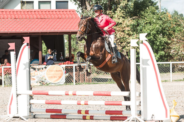SFT i przyjaciele Jumping Show - KJ Skarb Kozienice ZRiT 22-23.08.2026