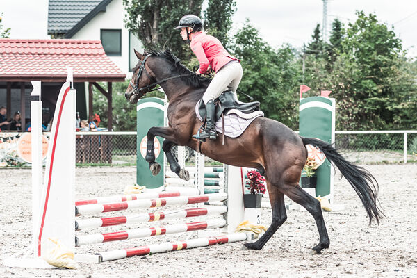 SFT i przyjaciele Jumping Show - KJ Skarb Kozienice ZRiT 22-23.08.2026