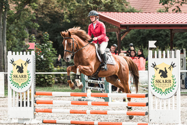 SFT i przyjaciele Jumping Show - KJ Skarb Kozienice ZRiT 22-23.08.2026