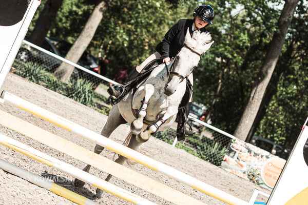 SFT i przyjaciele Jumping Show - KJ Skarb Kozienice ZRiT 22-23.08.2026