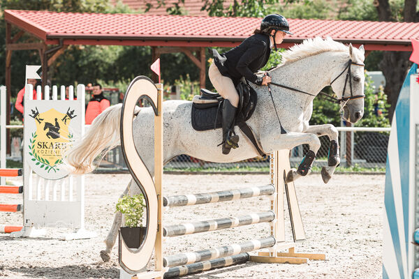 SFT i przyjaciele Jumping Show - KJ Skarb Kozienice ZRiT 22-23.08.2026