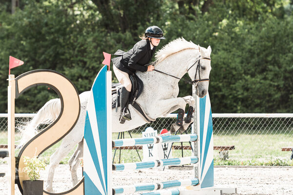 SFT i przyjaciele Jumping Show - KJ Skarb Kozienice ZRiT 22-23.08.2026