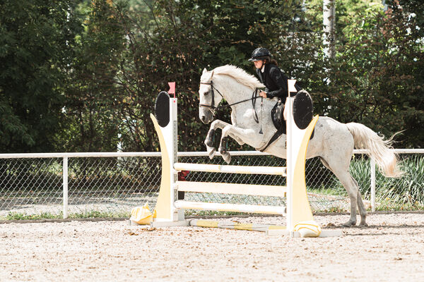 SFT i przyjaciele Jumping Show - KJ Skarb Kozienice ZRiT 22-23.08.2026