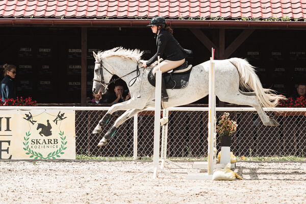 SFT i przyjaciele Jumping Show - KJ Skarb Kozienice ZRiT 22-23.08.2026