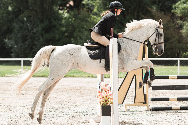SFT i przyjaciele Jumping Show - KJ Skarb Kozienice ZRiT 22-23.08.2026