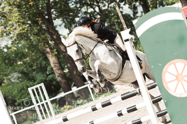 SFT i przyjaciele Jumping Show - KJ Skarb Kozienice ZRiT 22-23.08.2026