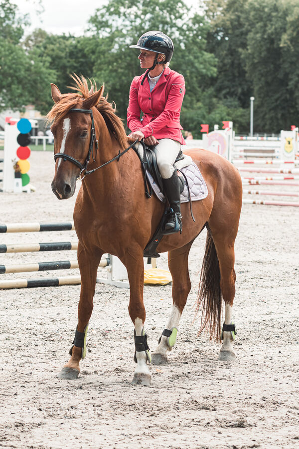 SFT i przyjaciele Jumping Show - KJ Skarb Kozienice ZRiT 22-23.08.2026