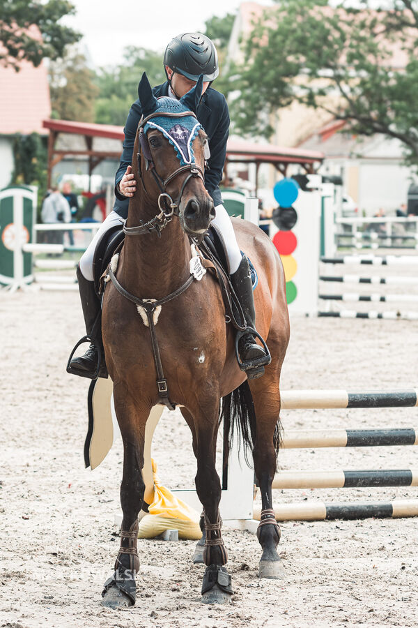 SFT i przyjaciele Jumping Show - KJ Skarb Kozienice ZRiT 22-23.08.2026