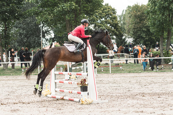 SFT i przyjaciele Jumping Show - KJ Skarb Kozienice ZRiT 22-23.08.2026