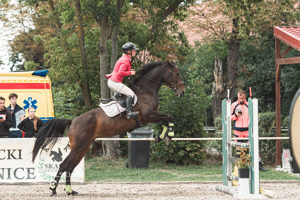 SFT i przyjaciele Jumping Show - KJ Skarb Kozienice ZRiT 22-23.08.2026