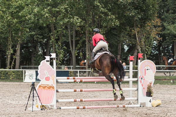 SFT i przyjaciele Jumping Show - KJ Skarb Kozienice ZRiT 22-23.08.2026