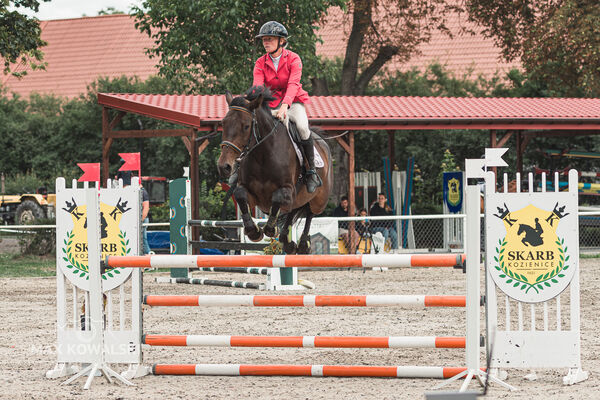 SFT i przyjaciele Jumping Show - KJ Skarb Kozienice ZRiT 22-23.08.2026