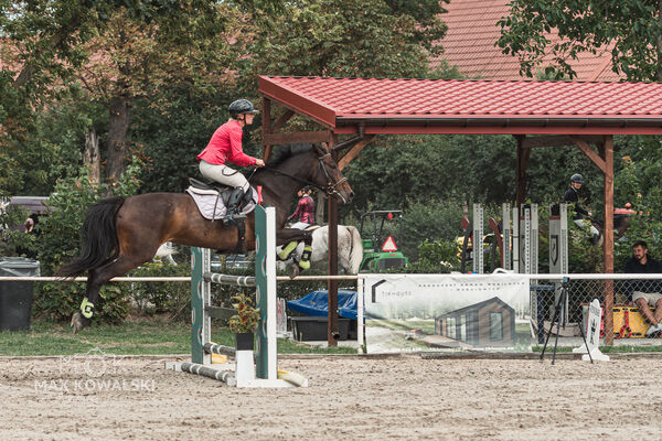 SFT i przyjaciele Jumping Show - KJ Skarb Kozienice ZRiT 22-23.08.2026