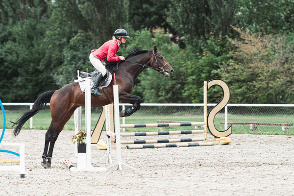 SFT i przyjaciele Jumping Show - KJ Skarb Kozienice ZRiT 22-23.08.2026