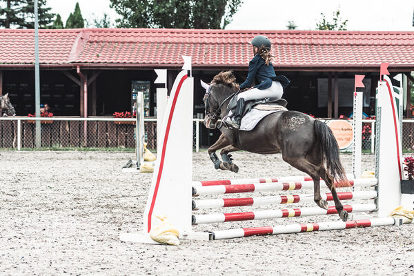 SFT i przyjaciele Jumping Show - KJ Skarb Kozienice ZRiT 22-23.08.2026