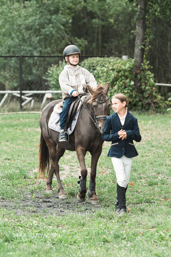 SFT i przyjaciele Jumping Show - KJ Skarb Kozienice ZRiT 22-23.08.2026