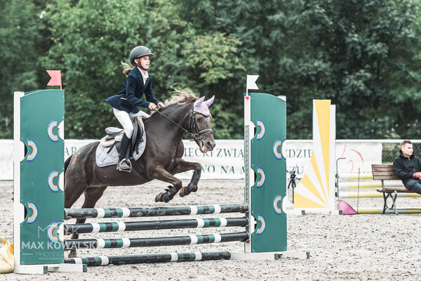 SFT i przyjaciele Jumping Show - KJ Skarb Kozienice ZRiT 22-23.08.2026