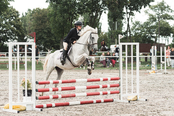 SFT i przyjaciele Jumping Show - KJ Skarb Kozienice ZRiT 22-23.08.2026