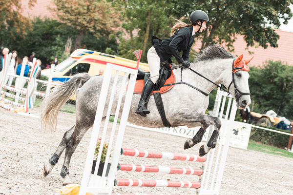 SFT i przyjaciele Jumping Show - KJ Skarb Kozienice ZRiT 22-23.08.2026