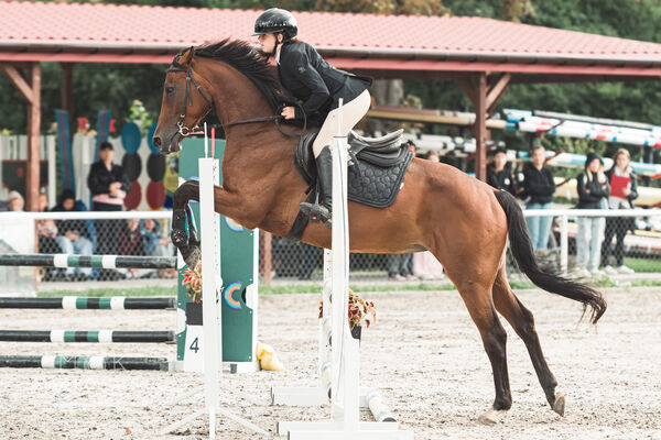 SFT i przyjaciele Jumping Show - KJ Skarb Kozienice ZRiT 22-23.08.2026