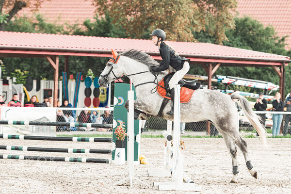 SFT i przyjaciele Jumping Show - KJ Skarb Kozienice ZRiT 22-23.08.2026