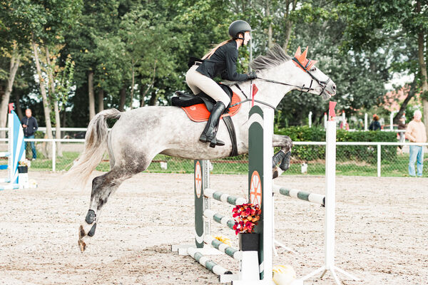 SFT i przyjaciele Jumping Show - KJ Skarb Kozienice ZRiT 22-23.08.2026