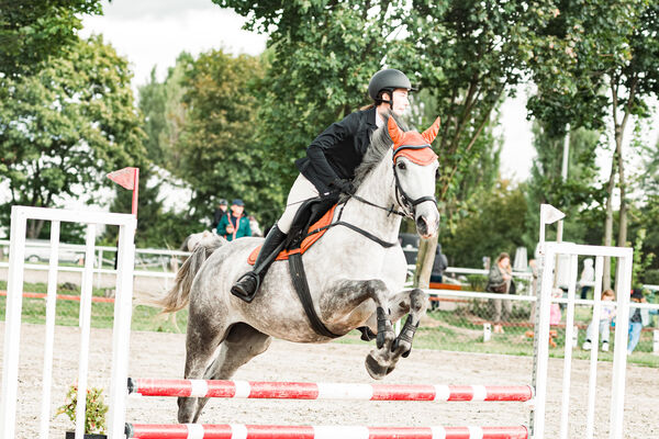SFT i przyjaciele Jumping Show - KJ Skarb Kozienice ZRiT 22-23.08.2026