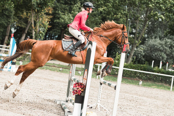 SFT i przyjaciele Jumping Show - KJ Skarb Kozienice ZRiT 22-23.08.2026