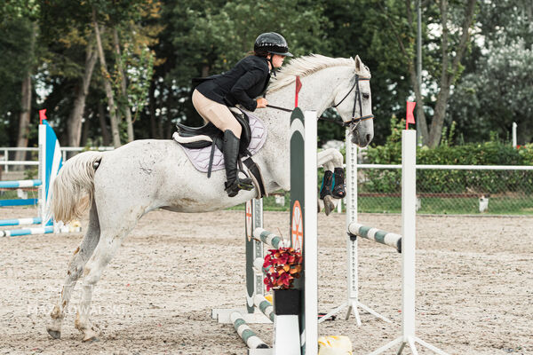 SFT i przyjaciele Jumping Show - KJ Skarb Kozienice ZRiT 22-23.08.2026