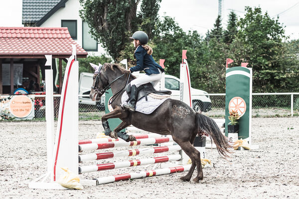 SFT i przyjaciele Jumping Show - KJ Skarb Kozienice ZRiT 22-23.08.2026