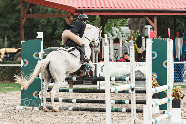 SFT i przyjaciele Jumping Show - KJ Skarb Kozienice ZRiT 22-23.08.2026