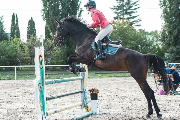 SFT i przyjaciele Jumping Show - KJ Skarb Kozienice ZRiT 22-23.08.2026
