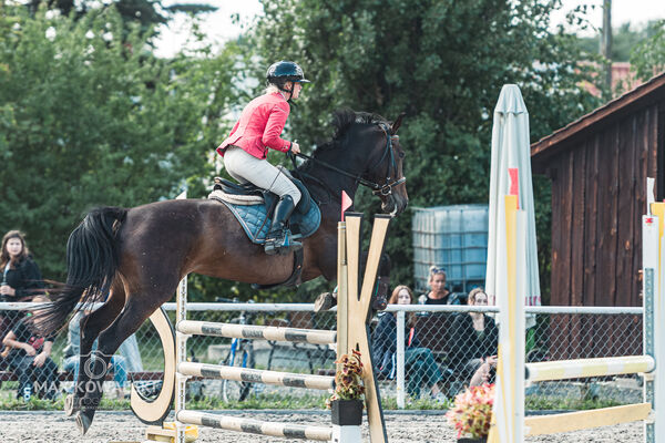 SFT i przyjaciele Jumping Show - KJ Skarb Kozienice ZRiT 22-23.08.2026