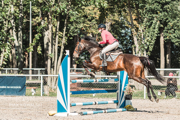SFT i przyjaciele Jumping Show - KJ Skarb Kozienice ZRiT 22-23.08.2026