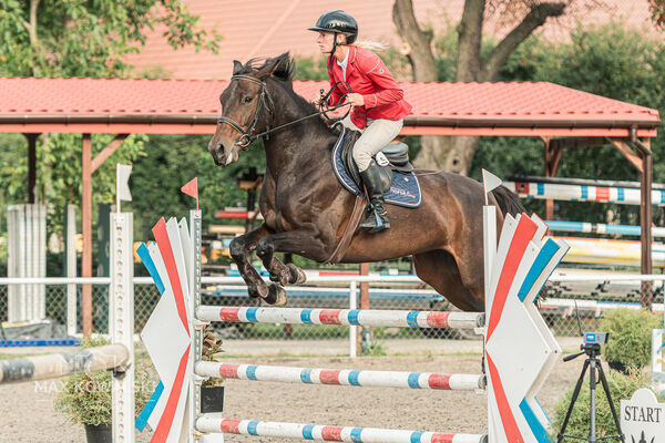 SFT i przyjaciele JUMPING SHOW - ZRiT - WRZESIEŃ 2026 Kozienice