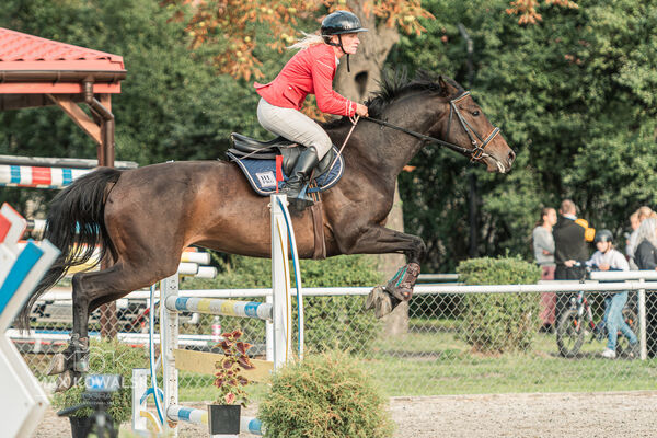 SFT i przyjaciele JUMPING SHOW - ZRiT - WRZESIEŃ 2026 Kozienice