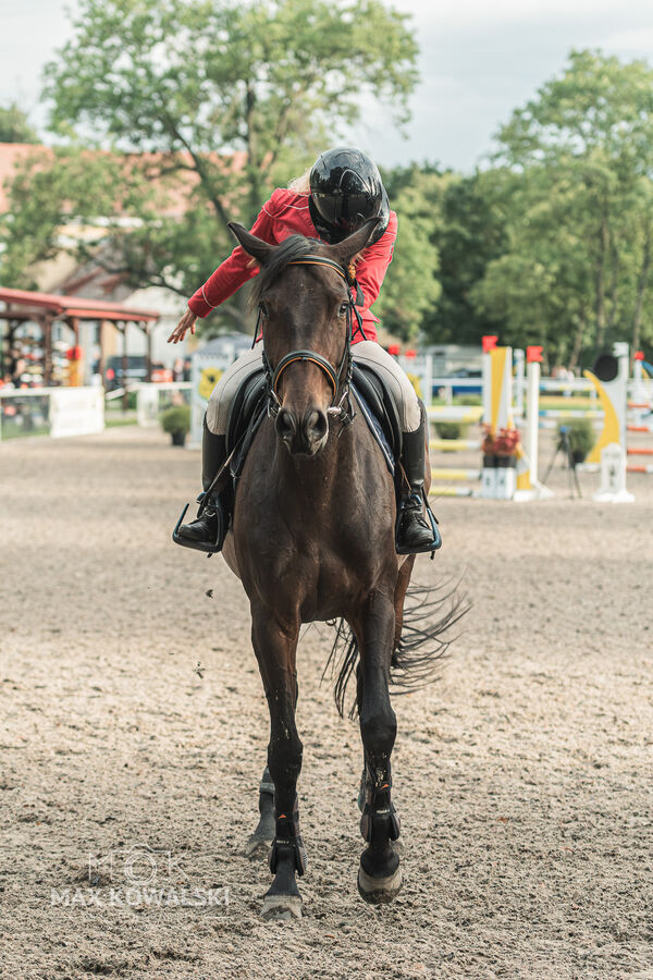 SFT i przyjaciele JUMPING SHOW - ZRiT - WRZESIEŃ 2026 Kozienice