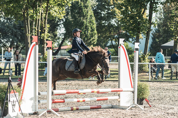 SFT i przyjaciele JUMPING SHOW - ZRiT - WRZESIEŃ 2026 Kozienice