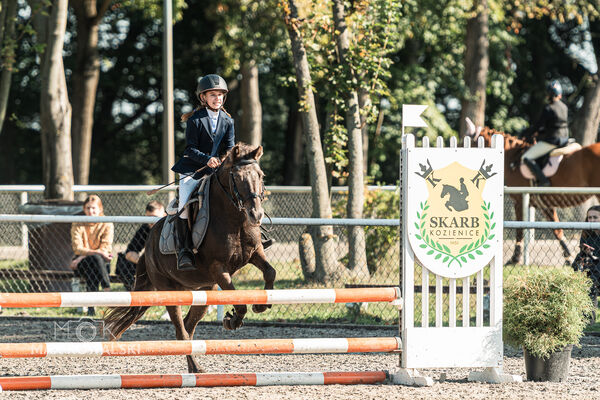 SFT i przyjaciele JUMPING SHOW - ZRiT - WRZESIEŃ 2026 Kozienice
