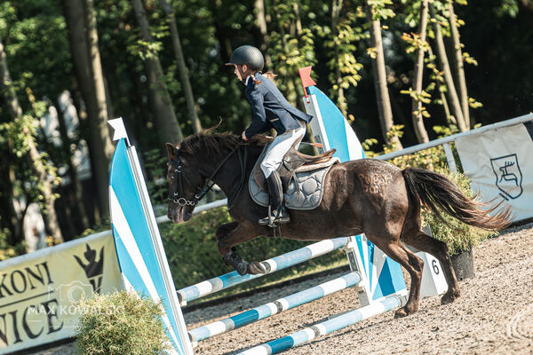 SFT i przyjaciele JUMPING SHOW - ZRiT - WRZESIEŃ 2026 Kozienice