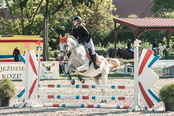 SFT i przyjaciele JUMPING SHOW - ZRiT - WRZESIEŃ 2026 Kozienice