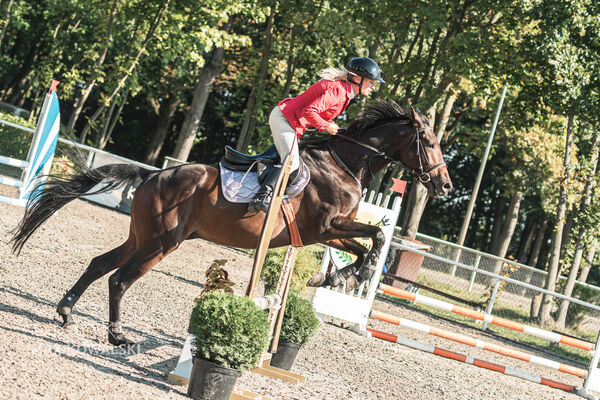 SFT i przyjaciele JUMPING SHOW - ZRiT - WRZESIEŃ 2026 Kozienice