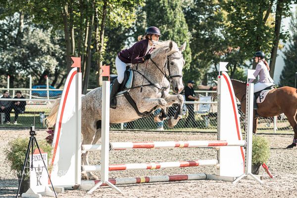 SFT i przyjaciele JUMPING SHOW - ZRiT - WRZESIEŃ 2026 Kozienice