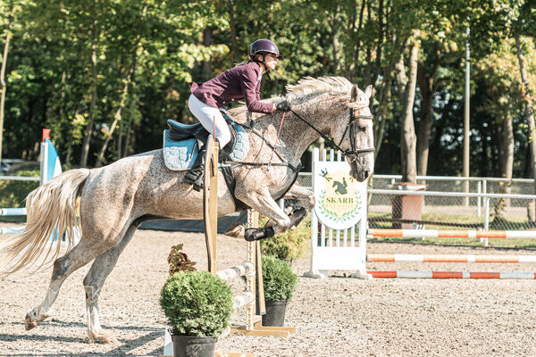 SFT i przyjaciele JUMPING SHOW - ZRiT - WRZESIEŃ 2026 Kozienice