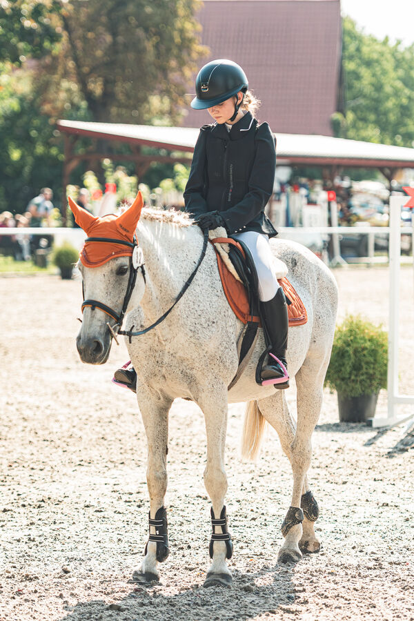 SFT i przyjaciele JUMPING SHOW - ZRiT - WRZESIEŃ 2026 Kozienice