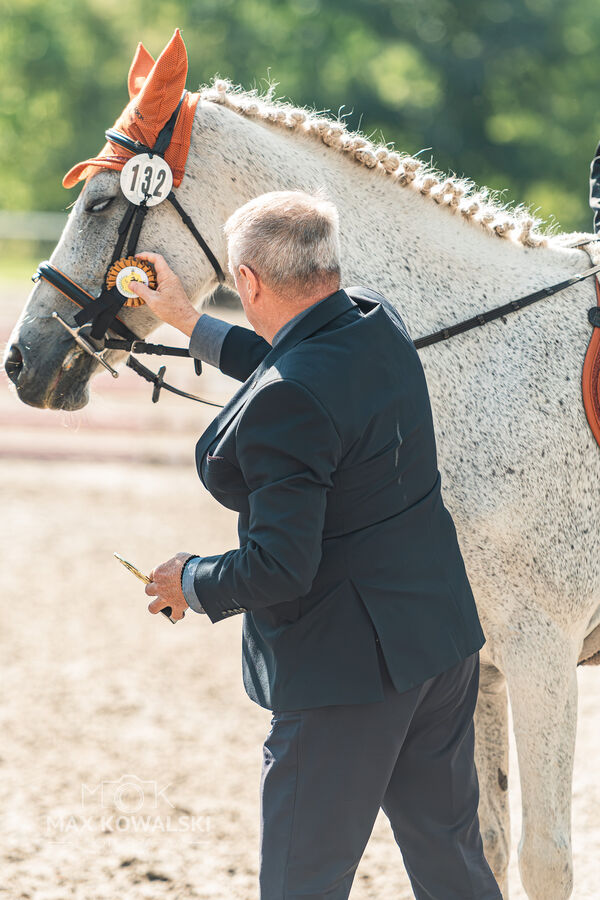 SFT i przyjaciele JUMPING SHOW - ZRiT - WRZESIEŃ 2026 Kozienice